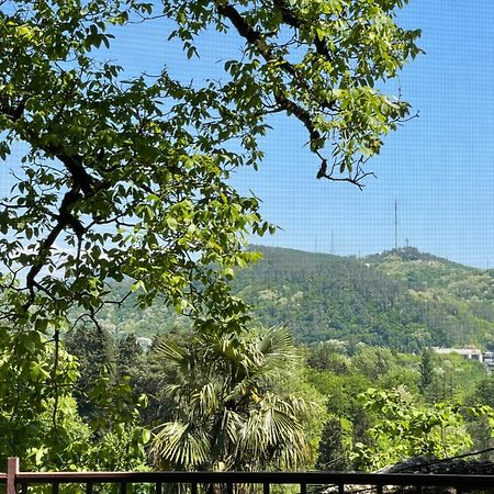 Guest House Royal Comfort With Terrace Kutaisi Exterior foto